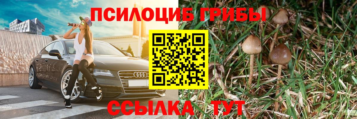 Галлюциногенные грибы мухоморы  Вход с VPN  Урус-Мартан 